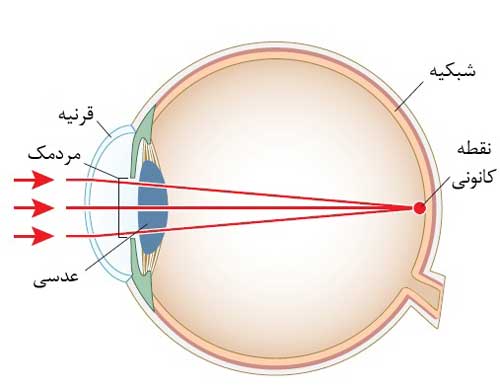 ساختار چشم انسان