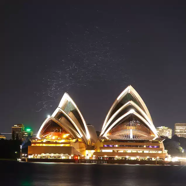 پردنگان در شب سیدنی
